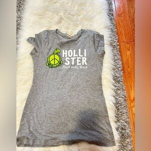 Hollister Gray Kids Tee with Green Turtle